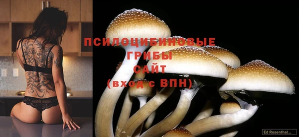 дмт Алексеевка