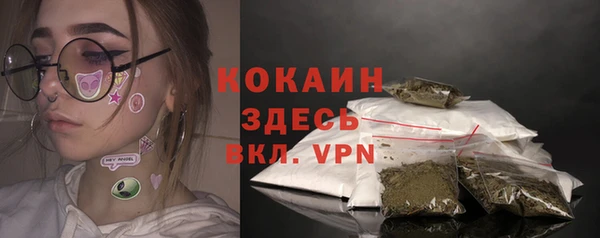 бошки Алексин