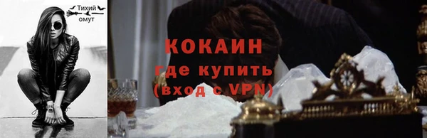ПСИЛОЦИБИНОВЫЕ ГРИБЫ Дмитриев