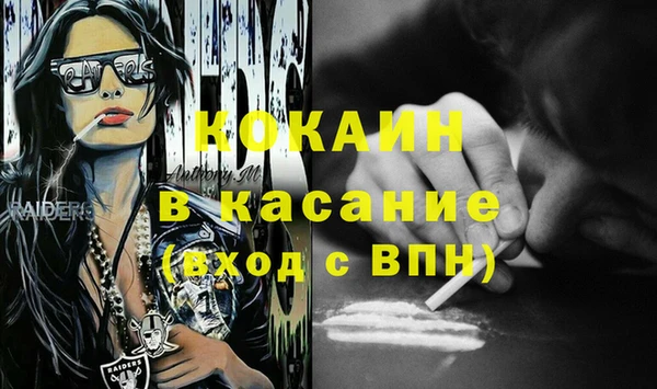 соль ск Алзамай