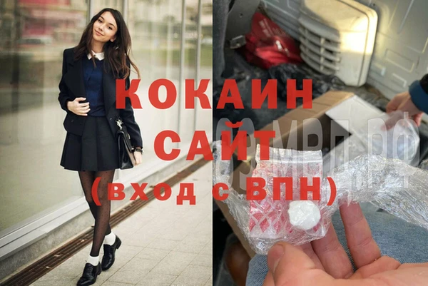 соль ск Алзамай