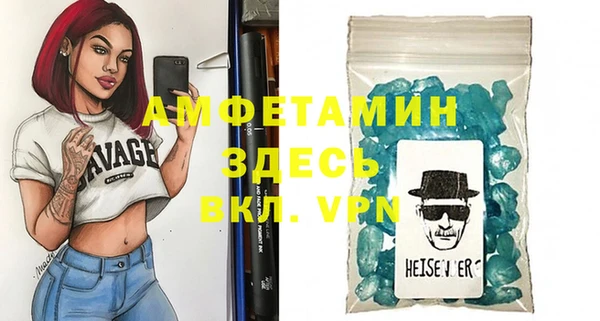 индика Кулебаки