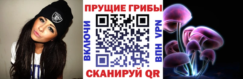 Псилоцибиновые грибы прущие грибы  Звенигово 